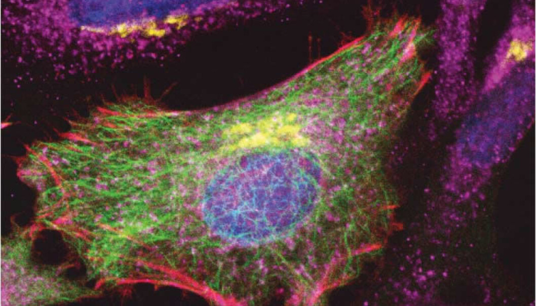 Mens databaserte metoder de siste tiårene har vært brukt for å kalkulere kjemiske reaksjoner, har Maarten Beerepoot kommet ett skritt lenger gjennom realistiske beregninger av mekanismer, i store biologiske molekyler. Mens databaserte metoder de siste tiårene har vært brukt for å kalkulere kjemiske reaksjoner, har Maarten Beerepoot kommet ett skritt lenger gjennom realistiske beregninger av mekanismer, i store biologiske molekyler.