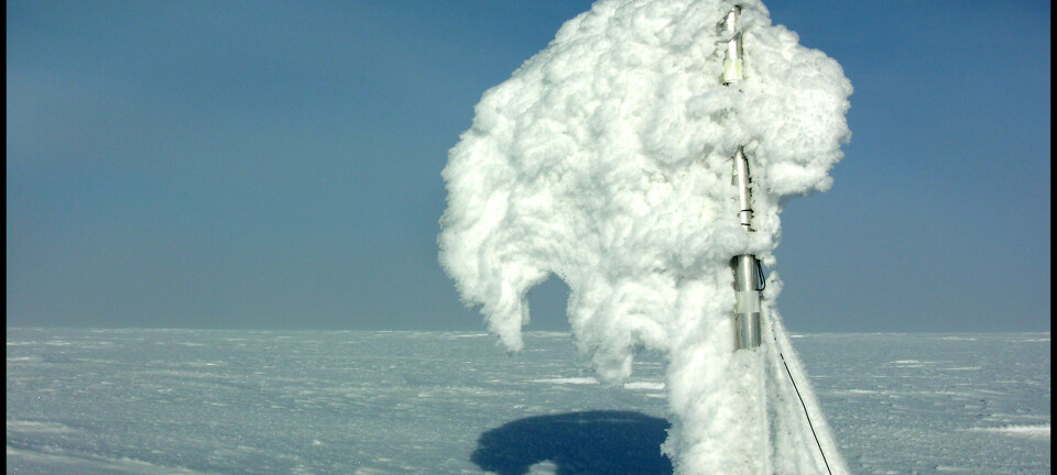 Stakene på toppen av Austfonna brukes for massebalansemålinger og må tåle mye rimdannelser i løpet av vinteren.  (Foto: Thorben Dunse, UiO)