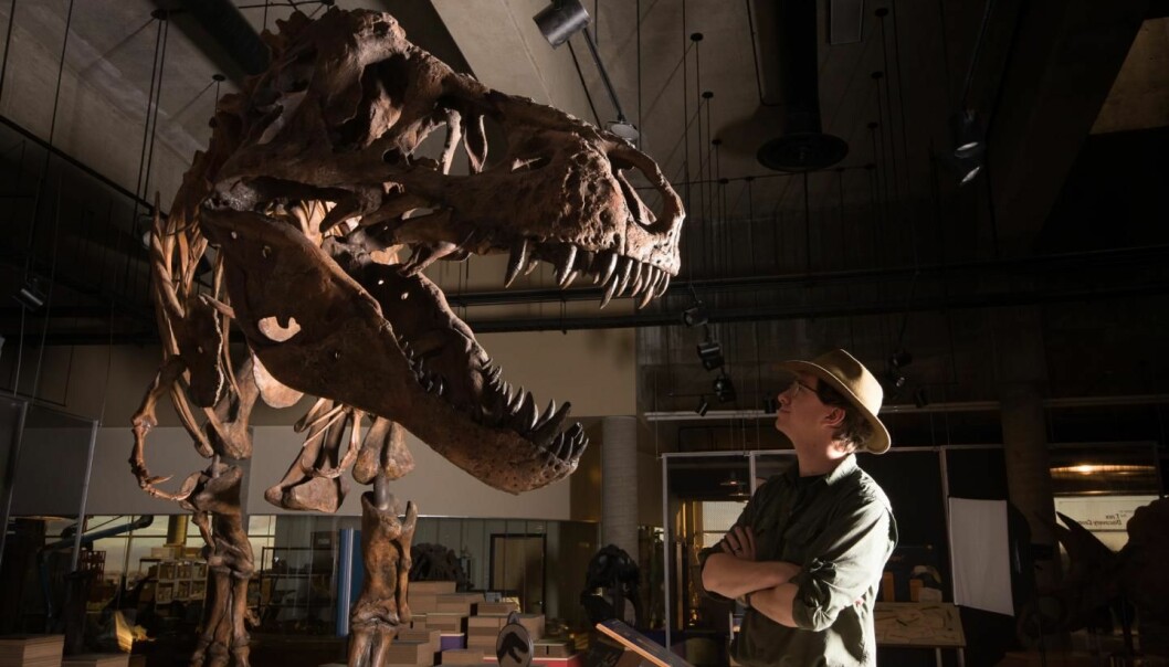 Her ser du paleontolog W. Scott Persons og den tyngste Tyrannosaurus-rexen som er funnet. Den står på T. rex Discovery Center i Saskatchewan i Canada.