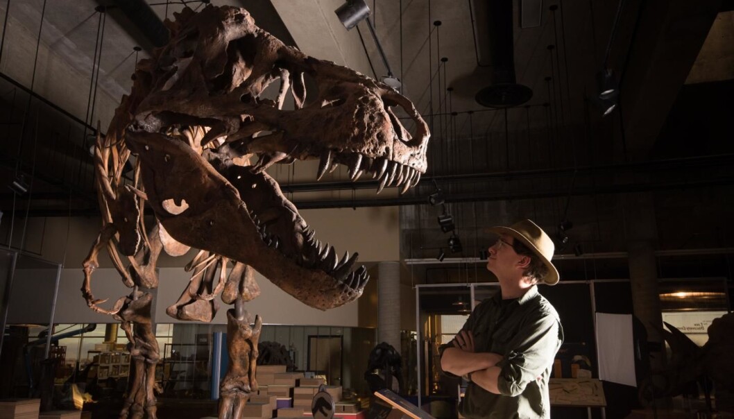 Her ser du paleontolog W. Scott Persons og den tyngste Tyrannosaurus-rexen som er funnet. Den står på T. rex Discovery Center i Saskatchewan i Canada. Her ser du paleontolog W. Scott Persons og den tyngste Tyrannosaurus-rexen som er funnet. Den står på T. rex Discovery Center i Saskatchewan i Canada.