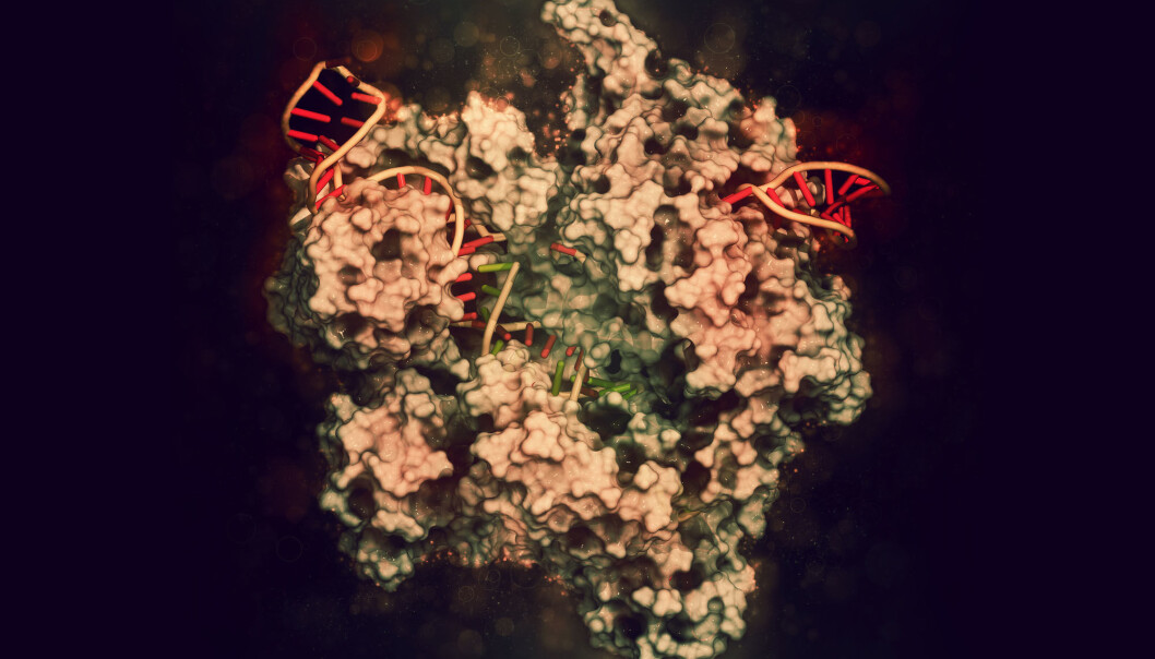Illustrasjon av CRISPR Cas9, et verktøy vi kan bruke til å redigere DNA. Det er bygd på en teknikk bakterier bruker til å forsvare seg mot virus. (Foto: molekuul_be / Shutterstock / NTB scanpix) Illustrasjon av CRISPR Cas9, et verktøy vi kan bruke til å redigere DNA. Det er bygd på en teknikk bakterier bruker til å forsvare seg mot virus. (Foto: molekuul_be / Shutterstock / NTB scanpix)