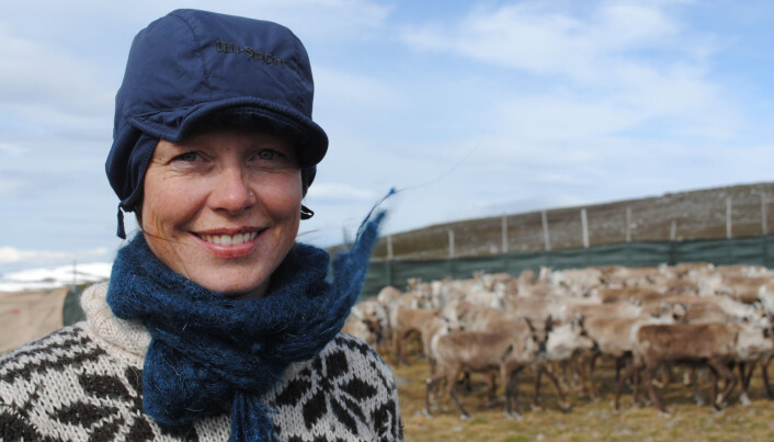 Alle reineiere som Kathrine Ivsett Johnsen har snakket med ønsker seg mer reelt selvstyre for reindriften. (Foto: privat) Alle reineiere som Kathrine Ivsett Johnsen har snakket med ønsker seg mer reelt selvstyre for reindriften. (Foto: privat)