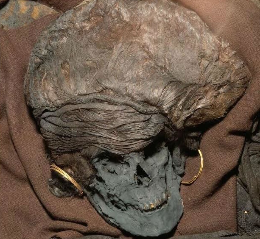 Skrydstrup-kvinnen er et av de aller best bevart funnene danskene har fra bronsealderen. De siste årene har forskere kommet fram til at hun kom langveisfra, men det er ikke sikkert, ifølge en ny studie. (Foto: Nasjonalmuseet) Skrydstrup-kvinnen er et av de aller best bevart funnene danskene har fra bronsealderen. De siste årene har forskere kommet fram til at hun kom langveisfra, men det er ikke sikkert, ifølge en ny studie. (Foto: Nasjonalmuseet)