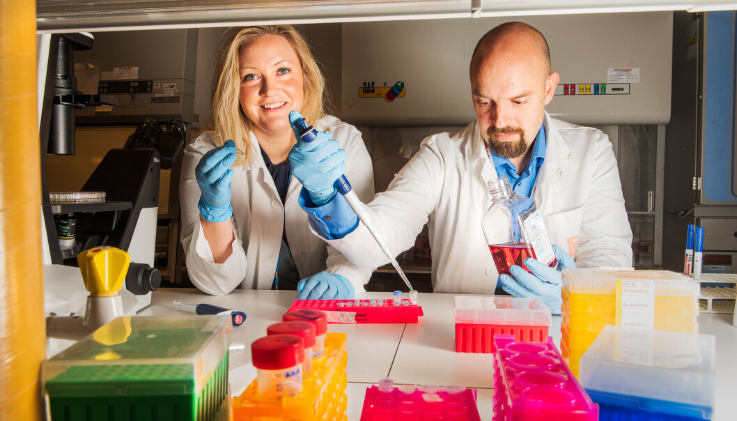 Selv om vi vet en hel del om autoimmune sykdommer, er det som skjer idet sykdommen oppstår stort sett ukjent terreng. Dette vil forskerne Britt Nakken og Peter Szodoray finne ut av. (Foto: Kristin Ellefsen, UiO) Selv om vi vet en hel del om autoimmune sykdommer, er det som skjer idet sykdommen oppstår stort sett ukjent terreng. Dette vil forskerne Britt Nakken og Peter Szodoray finne ut av. (Foto: Kristin Ellefsen, UiO)
