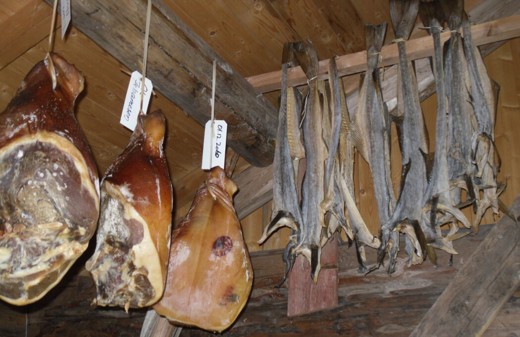 Spekeskinke og tørrfisk er eksempler på konserverte tradisjonsprodukt (Foto: Eva Narten Høberg, NIBIO) Spekeskinke og tørrfisk er eksempler på konserverte tradisjonsprodukt (Foto: Eva Narten Høberg, NIBIO)