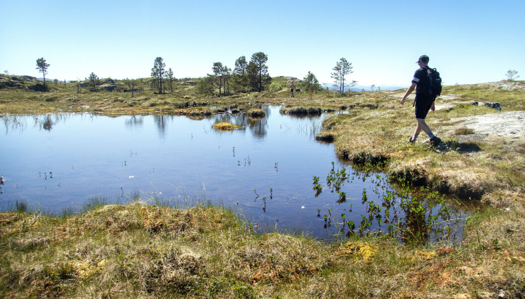 Å gå tur i marka kan fremme spontan tankevirksomhet, som har en rekke fordeler. Her fra Jervfjellet ved Trondheim. (Foto: Gorm Kallestad/NTB/Scanpix) Å gå tur i marka kan fremme spontan tankevirksomhet, som har en rekke fordeler. Her fra Jervfjellet ved Trondheim. (Foto: Gorm Kallestad/NTB/Scanpix)