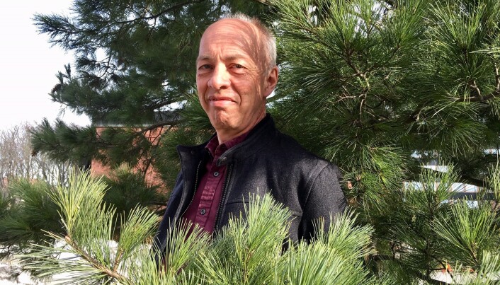 Halvor Eifring mener vi bør slippe tankene mer fri, og naturen kan hjelpe oss. (Foto: Anne Lise Stranden, forskning.no) Halvor Eifring mener vi bør slippe tankene mer fri, og naturen kan hjelpe oss. (Foto: Anne Lise Stranden, forskning.no)