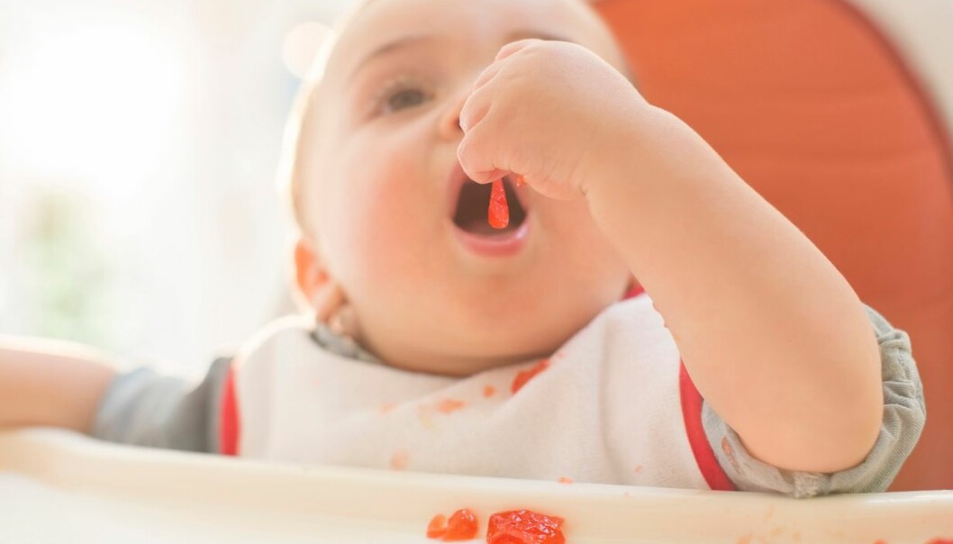 Studier har vist at det er bedre å eksponere barn for mat som kan gi allergi, i stedet for å skjerme det fra allergener. Nå endrer amerikanerne sine allergiråd. Science Photo Library/NTB Scanpix