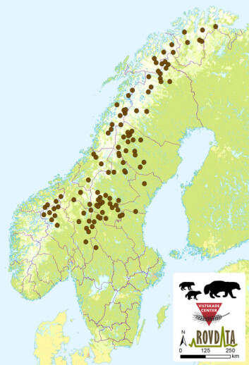 Kartet viser de 108 jervekullene som er registrert i Norge og Sverige under årets registreringssesong. (Foto: (Kart: Rovdata)) Kartet viser de 108 jervekullene som er registrert i Norge og Sverige under årets registreringssesong. (Foto: (Kart: Rovdata))