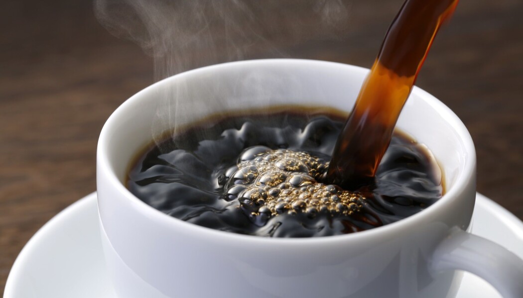 Norge ligger på andreplass med et kaffekonsum på 9 kilo årlig per person. Drikker du det som en oppkvikker, kan du kanskje ta en kikk på dette bildet i stedet. (Illustrasjonsbilde: Nobuhira Asada, Shutterstock, NTB scanpix) Norge ligger på andreplass med et kaffekonsum på 9 kilo årlig per person. Drikker du det som en oppkvikker, kan du kanskje ta en kikk på dette bildet i stedet. (Illustrasjonsbilde: Nobuhira Asada, Shutterstock, NTB scanpix)