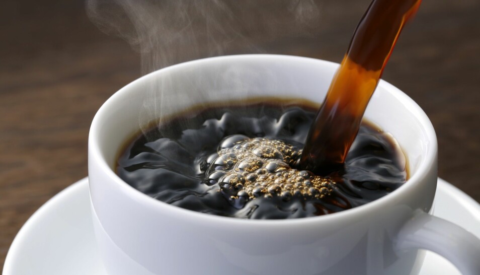Norge ligger på andreplass med et kaffekonsum på 9 kilo årlig per person. Drikker du det som en oppkvikker, kan du kanskje ta en kikk på dette bildet i stedet. (Illustrasjonsbilde: Nobuhira Asada, Shutterstock, NTB scanpix)