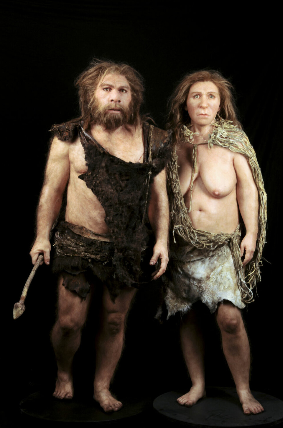 En rekonstruksjon av neandertalkvinne og –mann basert på fossilfunn. Modellen er laget av Elisabeth Daynes fra Daynes Studio i Paris. (Foto: Science Photo Library)
