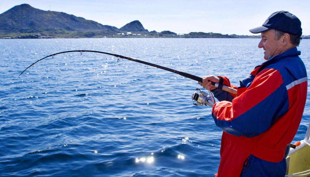 Fiskere som slipper fisken ut igjen, tror den klarer seg bra. Men det har de jo egentlig ikke forutsetninger for å vite. Så hvordan går det egentlig med kveiten etter at den er forsvunnet ned igjen i dypet? (Illustrasjonsfoto: Colourbox) Fiskere som slipper fisken ut igjen, tror den klarer seg bra. Men det har de jo egentlig ikke forutsetninger for å vite. Så hvordan går det egentlig med kveiten etter at den er forsvunnet ned igjen i dypet? (Illustrasjonsfoto: Colourbox)