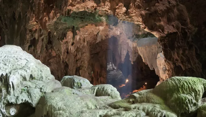 Forskere: Beinrester fra ukjent menneskeart funnet i hule på Filippinene