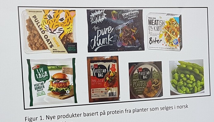 Det finnes mange kjøttlignende produkter basert på planer i norske butikker. Men likevel er de kanskje ikke så billige som de burde være. (Foto: Kristine Løwe) Det finnes mange kjøttlignende produkter basert på planer i norske butikker. Men likevel er de kanskje ikke så billige som de burde være. (Foto: Kristine Løwe)
