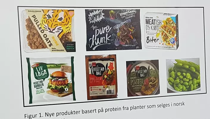 Det finnes mange kjøttlignende produkter basert på planer i norske butikker. Men likevel er de kanskje ikke så billige som de burde være. (Foto: Kristine Løwe)
