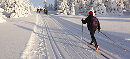 Kan du gå på ski i Norge om 30 år?