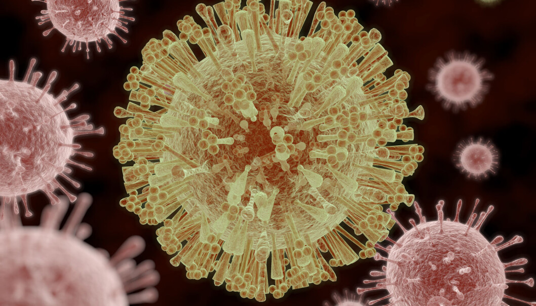 Zika-viruset herjer fortsatt i enkelte områder. Nå oppdaterer norske myndigheter sine råd på bakgrunn av ny europeisk rapport. (Foto: AuntSpray/Shutterstock/NTB scanpix) Zika-viruset herjer fortsatt i enkelte områder. Nå oppdaterer norske myndigheter sine råd på bakgrunn av ny europeisk rapport. (Foto: AuntSpray/Shutterstock/NTB scanpix)