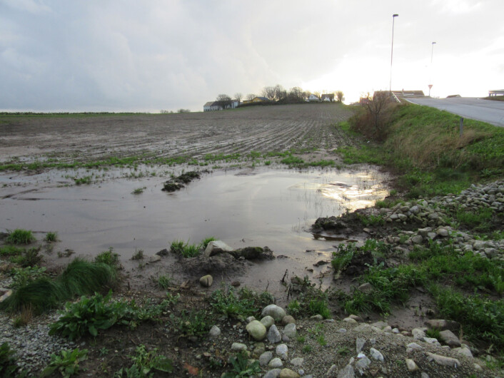 Uavhengig av arealbruksendringer vil en økt frekvens av nedbør- og avrenningsepisoder trolig gi en større risiko for tap av nitrogen og fosfor. (Foto: Anne-Grete Buseth Blankenberg) Uavhengig av arealbruksendringer vil en økt frekvens av nedbør- og avrenningsepisoder trolig gi en større risiko for tap av nitrogen og fosfor. (Foto: Anne-Grete Buseth Blankenberg)