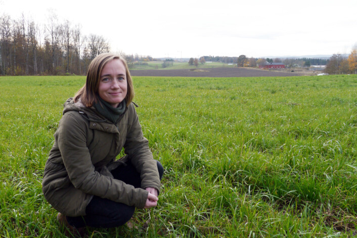 Inga Greipsland, forsker ved NIBIO, har ledet fagmøter i tre norske landbruksregioner. Hensikten var å få innblikk i hva slags valg norske bønder kan komme til å ta i fremtiden. (Foto: Siri Elise Dybdal) Inga Greipsland, forsker ved NIBIO, har ledet fagmøter i tre norske landbruksregioner. Hensikten var å få innblikk i hva slags valg norske bønder kan komme til å ta i fremtiden. (Foto: Siri Elise Dybdal)