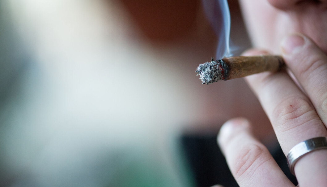 Sammenhengen mellom cannabisbruk og psykoser er kjent, men en ny tvillingstudie peker mot at det er cannabismisbruk som fører til symptomer på psykose, ikke omvendt. (Illustrasjonsfoto: Pe3k / Shutterstock / NTB scanpix) Sammenhengen mellom cannabisbruk og psykoser er kjent, men en ny tvillingstudie peker mot at det er cannabismisbruk som fører til symptomer på psykose, ikke omvendt. (Illustrasjonsfoto: Pe3k / Shutterstock / NTB scanpix)