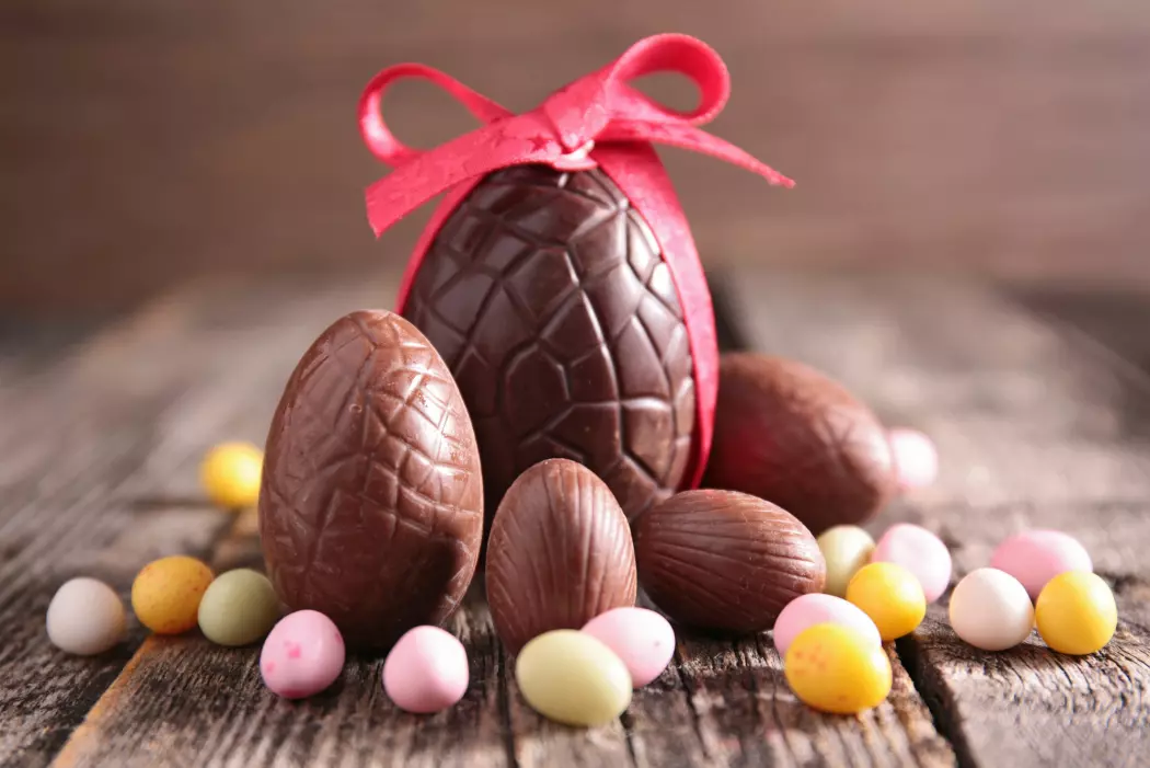 I snitt produserer et kakaotre, gjennom i hele sin 25-årige levetid, bare nok kakaobønner til snaut 5 kg sjokolade. (Foto: Shutterstock / NTB scanpix)