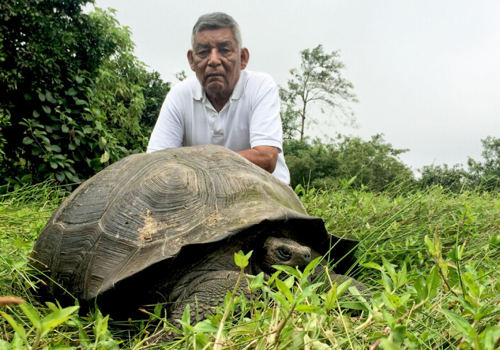 Oppsynsmannen «Don Fausto» sammen med et eksemplar av <em>Chelonoidis donfaustoi</em> på Santa Cruz-øya på Galápagos. (Foto: Washington Tapia) Oppsynsmannen «Don Fausto» sammen med et eksemplar av <em>Chelonoidis donfaustoi</em> på Santa Cruz-øya på Galápagos. (Foto: Washington Tapia)