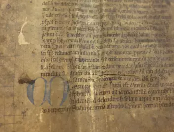 Selv om pergament er et slitesterkt materiale, er det mange av fragmentene som bærer preg av alderen. (Foto: Silja Björklund Einarsdóttir/forskning.no)