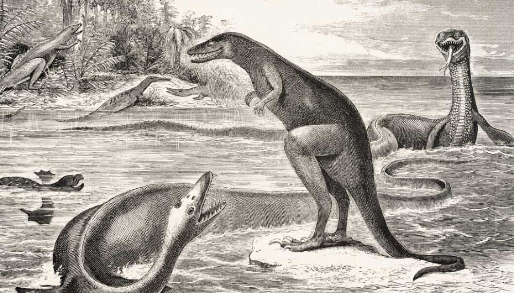 Her er noen av dyrene beskrevet av paleontologen E. Cope, som navnga ett av dem etter sine rivaler. (Foto: E.D. Cope, wikimedia commons) Her er noen av dyrene beskrevet av paleontologen E. Cope, som navnga ett av dem etter sine rivaler. (Foto: E.D. Cope, wikimedia commons)