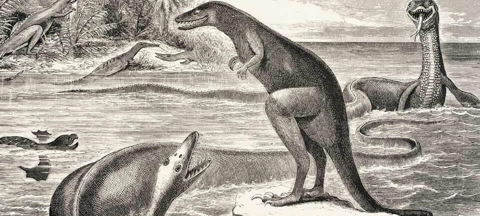 Her er noen av dyrene beskrevet av paleontologen E. Cope, som navnga ett av dem etter sine rivaler. (Foto: E.D. Cope, wikimedia commons)