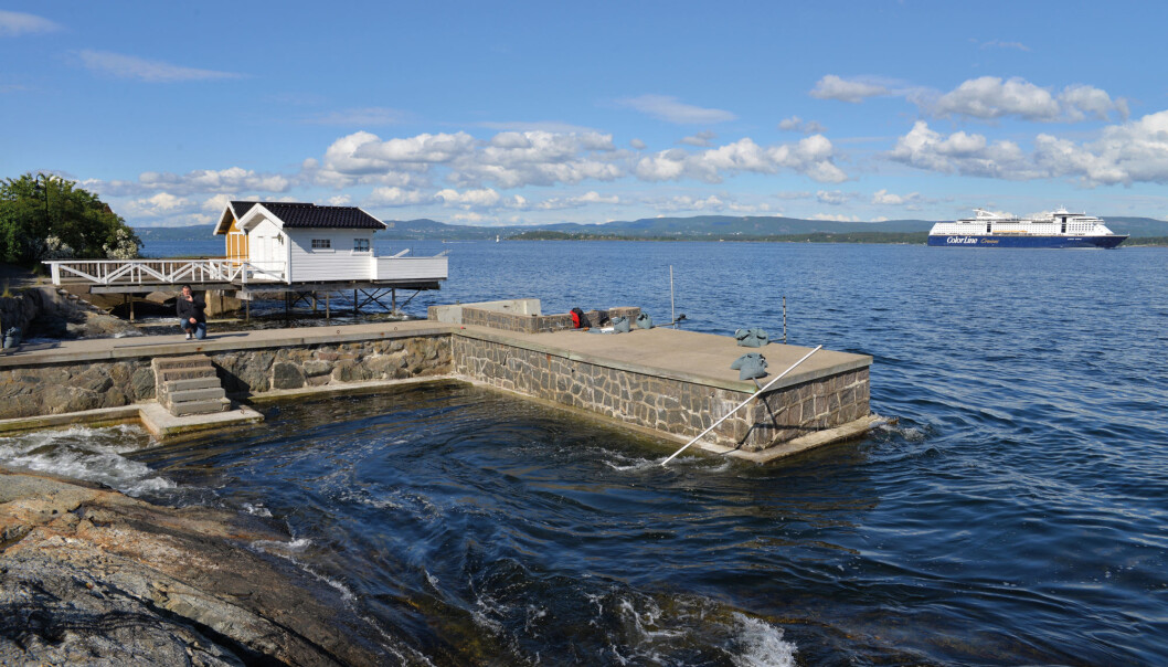 Når Kiel-fergen og store cruiseskip passerer Ildjernsflu utenfor Nesodden, dannes det tsunamier på mellom 1 og 1,4 meter ved de vakre badehusene på Flaskebekk. Tsunamiene har dobbelt så stor hastighet som skipene og dannes når skipet passerer grunne steder i Oslofjorden der dybden plutselig endrer seg. (Foto: Tore Henning Larsen) Når Kiel-fergen og store cruiseskip passerer Ildjernsflu utenfor Nesodden, dannes det tsunamier på mellom 1 og 1,4 meter ved de vakre badehusene på Flaskebekk. Tsunamiene har dobbelt så stor hastighet som skipene og dannes når skipet passerer grunne steder i Oslofjorden der dybden plutselig endrer seg. (Foto: Tore Henning Larsen)