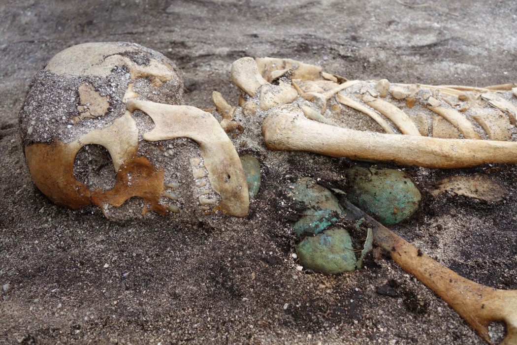 Kvinnen fra Hillesøy hadde trolig høy status i det norrøne samfunnet, noe forskerne blant annet kan se på skålspennene hun ble gravlagt med. (Foto: Norges arktiske universitetsmuseum) Kvinnen fra Hillesøy hadde trolig høy status i det norrøne samfunnet, noe forskerne blant annet kan se på skålspennene hun ble gravlagt med. (Foto: Norges arktiske universitetsmuseum)
