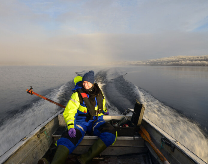 Feltarbeid-lykke og fiske etter ulike sikformer på Finnmarksvidda Feltarbeid-lykke og fiske etter ulike sikformer på Finnmarksvidda