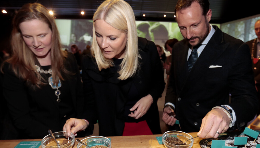 Rektor Mari Sundli Tveit (til venstre) ved Norges miljø- og biovitenskapelige universitet, fratrer sin stilling for å bli områdedirektør for politikk i NHO. Her er hun sammen med kronprinsparet under visningen av «Uten insekter – ingen mat» på Ås i 2017. (Foto: Lise Åserud, NTB scanpix) Rektor Mari Sundli Tveit (til venstre) ved Norges miljø- og biovitenskapelige universitet, fratrer sin stilling for å bli områdedirektør for politikk i NHO. Her er hun sammen med kronprinsparet under visningen av «Uten insekter – ingen mat» på Ås i 2017. (Foto: Lise Åserud, NTB scanpix)
