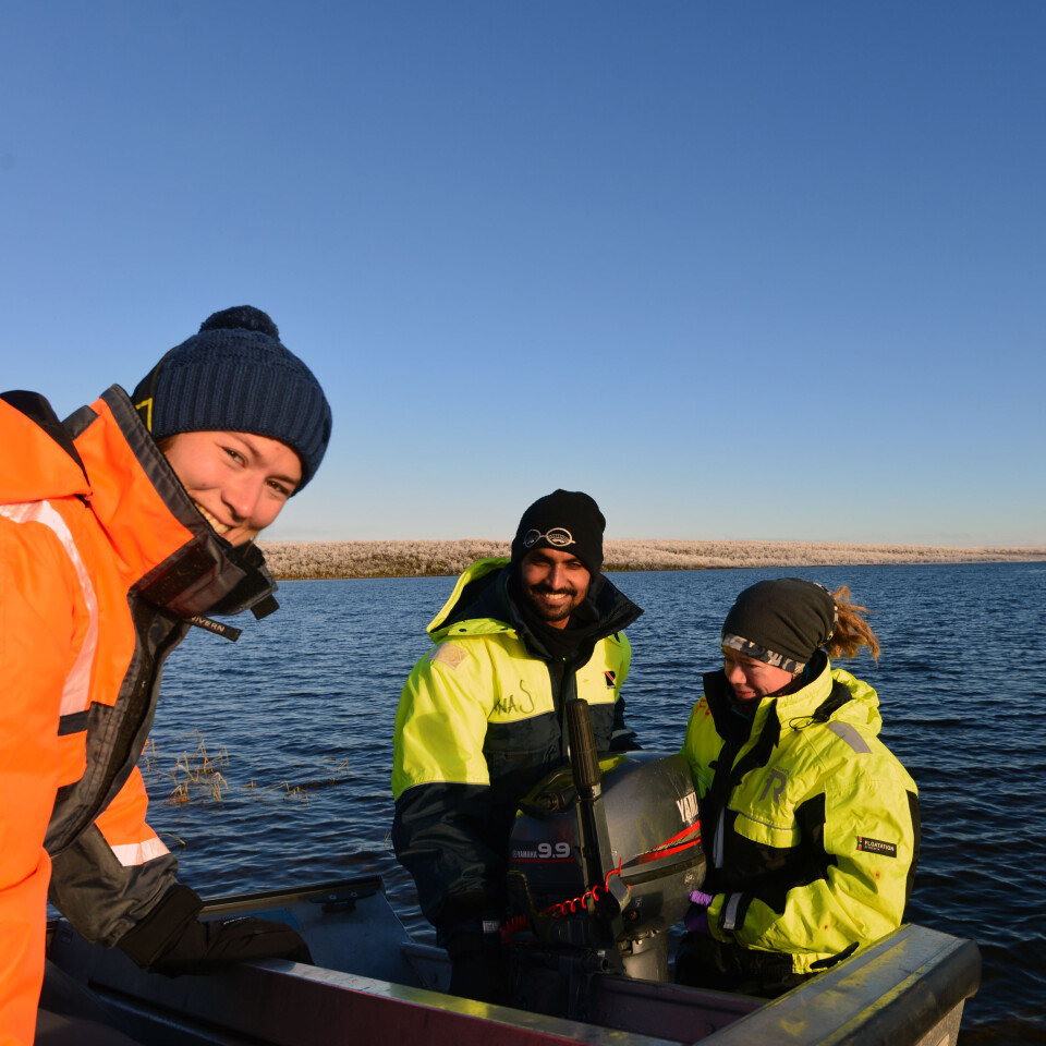 Forventningsfulle UiT studenter klargjører båten til sikfiske Foto: Kim Præbel