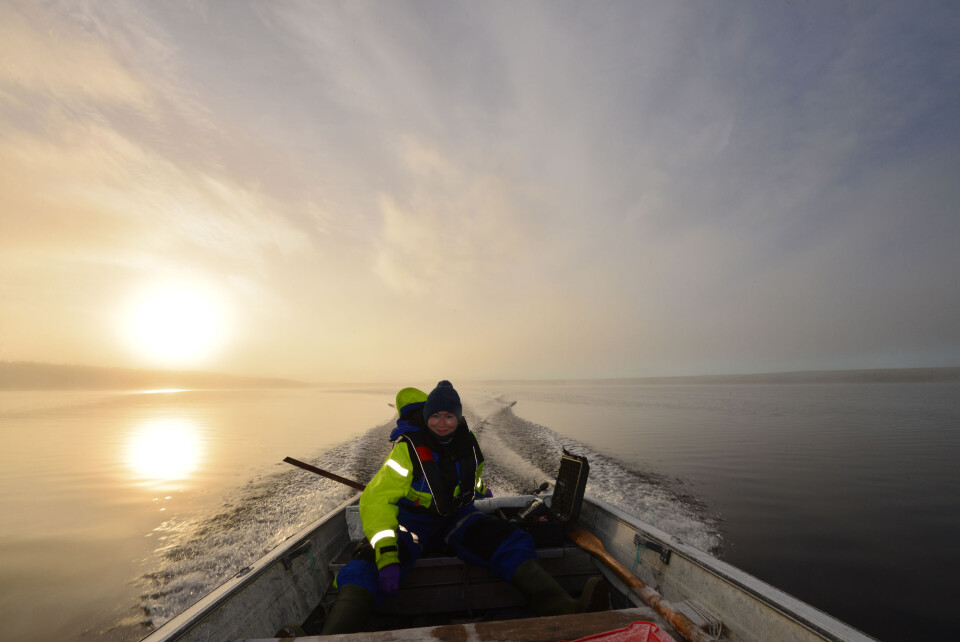 På vei mot fiskeplassene en tidlig morgen på Suohpatjavri nær Kautokeino. Masterstudent Julie Bitz-Thorsen er kaptein. Foto: Kim Præbel
