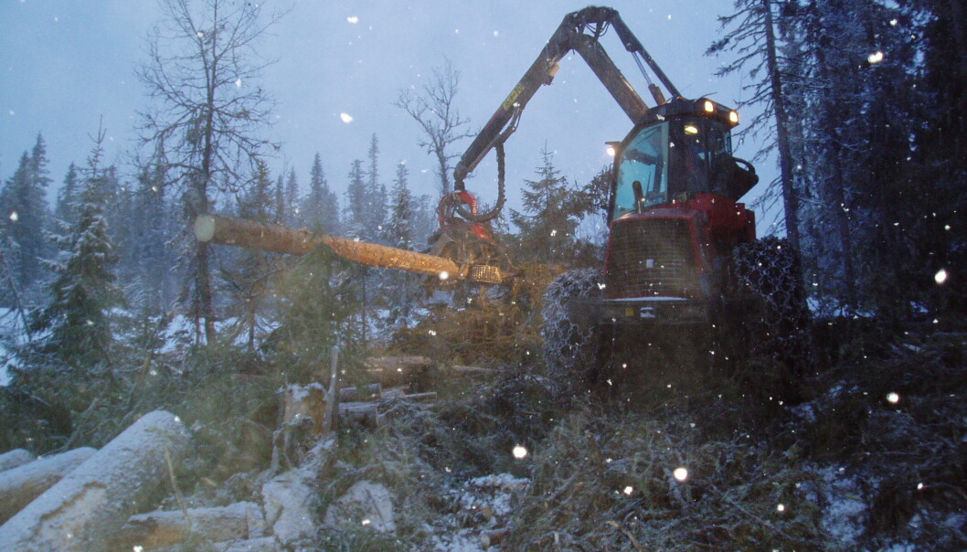 Kapitalkreftene gjør at de som hogger og kjører fram tømmer i norske skoger kommer i skvis mellom det å ta miljøhensyn og krav til produktivitet og lave priser, skriver kronikkforfatteren. (Foto: Leif Kjøstelsen / NIBIO) Kapitalkreftene gjør at de som hogger og kjører fram tømmer i norske skoger kommer i skvis mellom det å ta miljøhensyn og krav til produktivitet og lave priser, skriver kronikkforfatteren. (Foto: Leif Kjøstelsen / NIBIO)