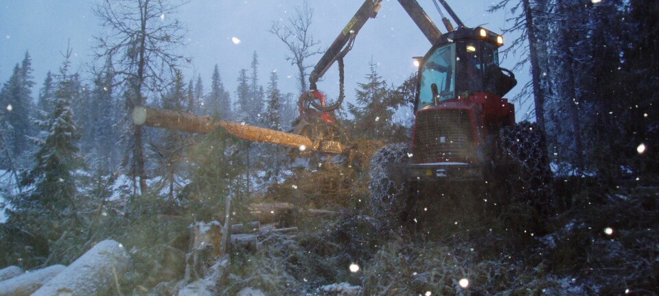 Kapitalkreftene gjør at de som hogger og kjører fram tømmer i norske skoger kommer i skvis mellom det å ta miljøhensyn og krav til produktivitet og lave priser, skriver kronikkforfatteren. (Foto: Leif Kjøstelsen / NIBIO)