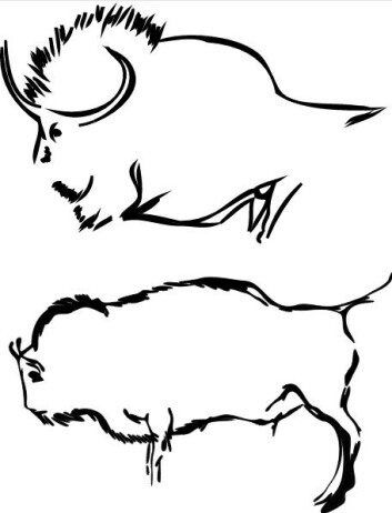 Eksempel på de to typene bison som går igjen i hulemaleriene. Øverst en steppebison-lignende figur fra Lascaux-hula i Frankrike. Nederst en visent-aktig type fra Pergouset-hula i Frankrike. (Foto: (Illustrasjon: Soubier m. fl.)) Eksempel på de to typene bison som går igjen i hulemaleriene. Øverst en steppebison-lignende figur fra Lascaux-hula i Frankrike. Nederst en visent-aktig type fra Pergouset-hula i Frankrike. (Foto: (Illustrasjon: Soubier m. fl.))