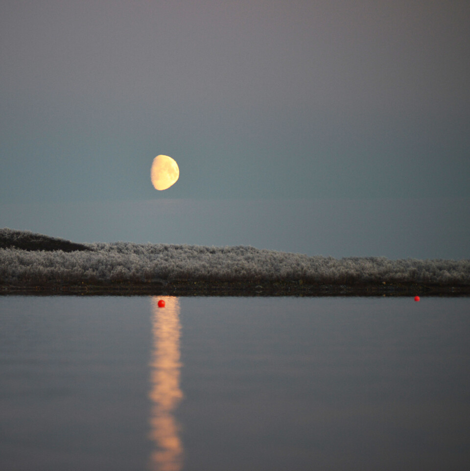 Nå er garnene satt og vi gleder os til å se fangsten i morgen (Foto: Kim Præbel)