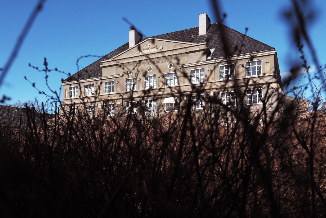 NMBU har langpint en stipendiat og brukt ressurser gjennom flere år uten å faktisk undersøke en omstridt avhandling, skriver Nina Kristiansen. (Foto: Ola Sæther) NMBU har langpint en stipendiat og brukt ressurser gjennom flere år uten å faktisk undersøke en omstridt avhandling, skriver Nina Kristiansen. (Foto: Ola Sæther)