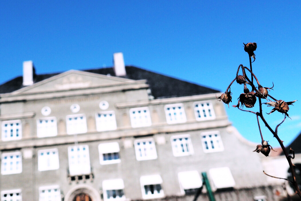 De siste dagene har forskning.no skrevet om granskningen av en mulig fuskesak ved NMBU. Den viser med all tydelighet at det systemet vi har for granskning av slike saker, har sine svakheter. (Foto: Ola Sæther) De siste dagene har forskning.no skrevet om granskningen av en mulig fuskesak ved NMBU. Den viser med all tydelighet at det systemet vi har for granskning av slike saker, har sine svakheter. (Foto: Ola Sæther)
