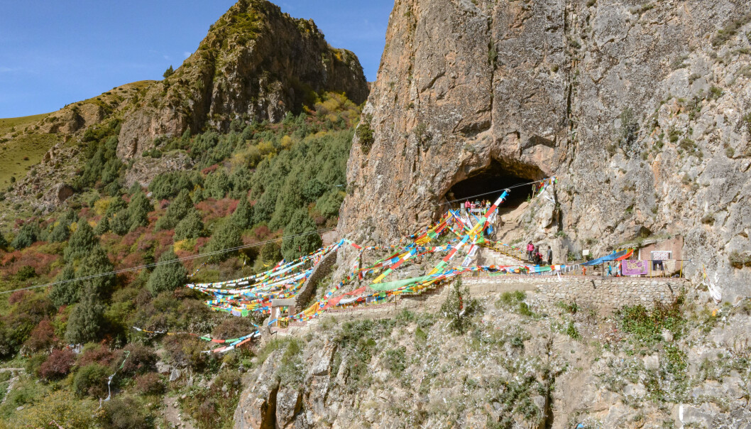 Baishiya Karst-hulen hvor kjevebeinet ble funnet. Alle flaggene er der fordi hulen også er et hellig buddhistisk sted. (Bilde: Dongju Zhang, Lanzhou University) Baishiya Karst-hulen hvor kjevebeinet ble funnet. Alle flaggene er der fordi hulen også er et hellig buddhistisk sted. (Bilde: Dongju Zhang, Lanzhou University)