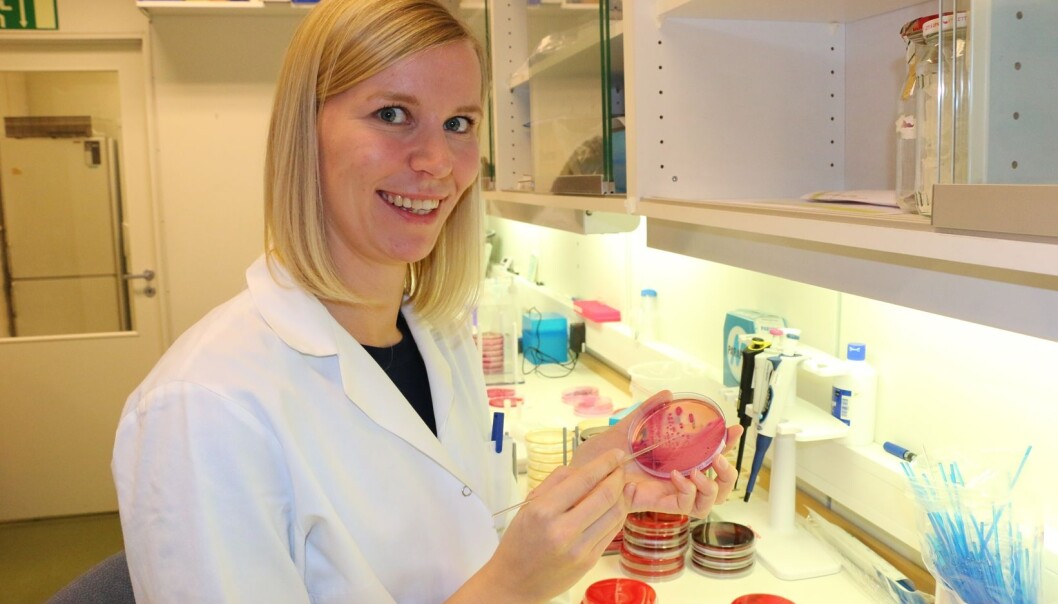Solveig Sølverød Mo jobber med å finne forebyggende tiltak mot antibiotikaresistens i norsk kyllingproduksjon. (Foto: Mari Press) Solveig Sølverød Mo jobber med å finne forebyggende tiltak mot antibiotikaresistens i norsk kyllingproduksjon. (Foto: Mari Press)