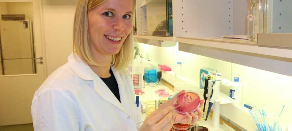 Solveig Sølverød Mo jobber med å finne forebyggende tiltak mot antibiotikaresistens i norsk kyllingproduksjon.  (Foto: Mari Press)