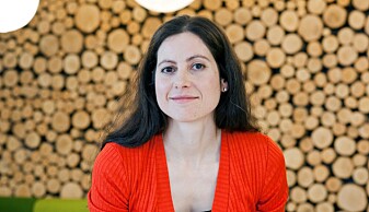 Kommunikasjonsprofessor Cristina Archetti har skrevet bok om det å være barnløs. Kommunikasjonsprofessor Cristina Archetti har skrevet bok om det å være barnløs.