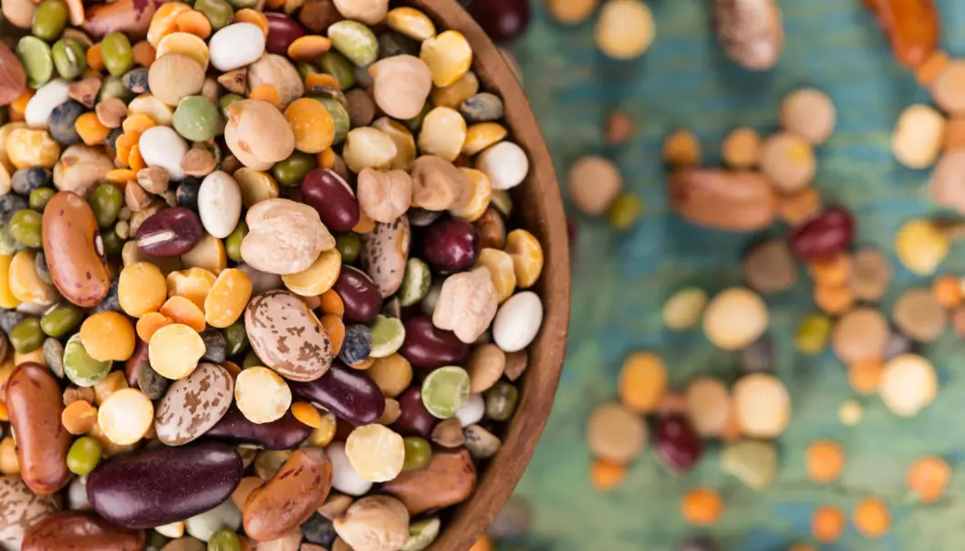 Belgvekstene er for eksempel erter, bønner, soya og linser. (Foto: Shutterstock / NTB Scanpix)