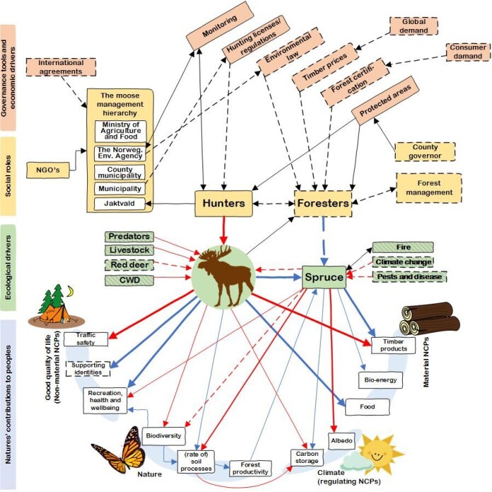 Slik ser kunnskapskartet til EcosystemMoose ut i dag. Pilene og boksene er klikkbare og tar leseren til en kort og sammenfattet tekst som oppsummerer temaet. Selve strukturen til figuren formidler relasjoner mellom variabler i det kompliserte sosio-økologiske systemet sentrert rundt elgen i de norske skoger. Kunnskapskartet er under kontinuerlig revisjon og endrer seg når ny informasjon kommer til. (Kilde: ecosystemmoose.com) Slik ser kunnskapskartet til EcosystemMoose ut i dag. Pilene og boksene er klikkbare og tar leseren til en kort og sammenfattet tekst som oppsummerer temaet. Selve strukturen til figuren formidler relasjoner mellom variabler i det kompliserte sosio-økologiske systemet sentrert rundt elgen i de norske skoger. Kunnskapskartet er under kontinuerlig revisjon og endrer seg når ny informasjon kommer til. (Kilde: ecosystemmoose.com)