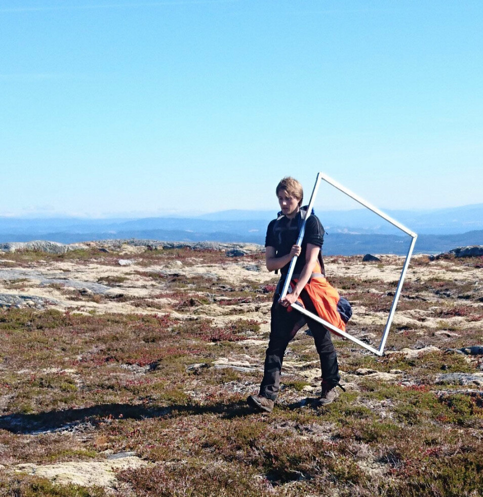 Med ramme og skjema inntar vi lokaliteten for arealrepresentativ naturovervåkning på Flatfjellet. Foto: Lise Tingstad.