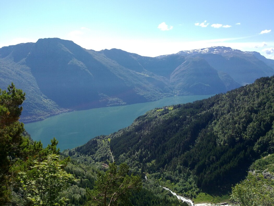 Forurenset av metaller: I Sørfjorden i Hardanger fant forskerne høye konsentrasjoner av både kvikksølv, sink, kadmium og bly. (Foto: Anders Ruus) Forurenset av metaller: I Sørfjorden i Hardanger fant forskerne høye konsentrasjoner av både kvikksølv, sink, kadmium og bly. (Foto: Anders Ruus)